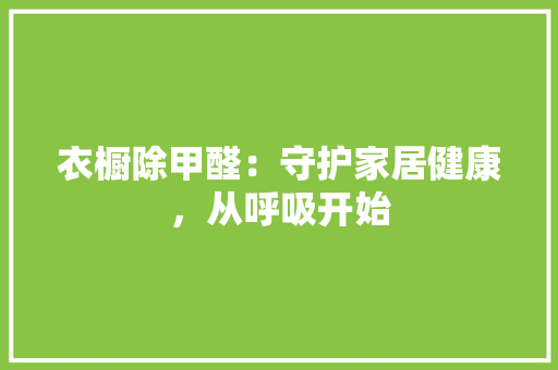 衣橱除甲醛：守护家居健康，从呼吸开始