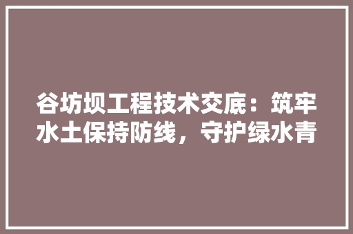 谷坊坝工程技术交底：筑牢水土保持防线，守护绿水青山 室内设计