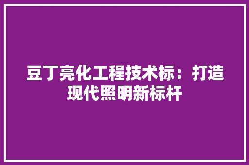 豆丁亮化工程技术标：打造现代照明新标杆 室内设计