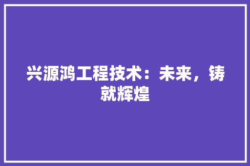 兴源鸿工程技术：未来，铸就辉煌