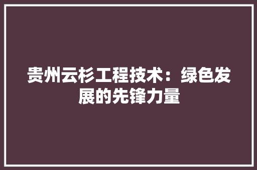 贵州云杉工程技术：绿色发展的先锋力量 室内设计