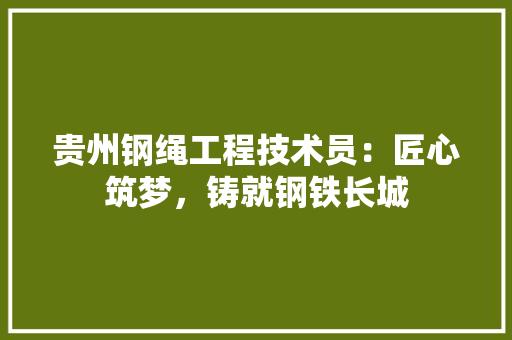 贵州钢绳工程技术员：匠心筑梦，铸就钢铁长城 室内设计