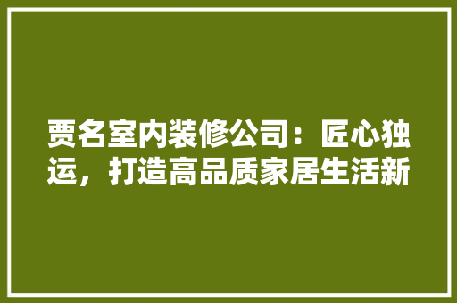 贾名室内装修公司：匠心独运，打造高品质家居生活新标杆 室内设计