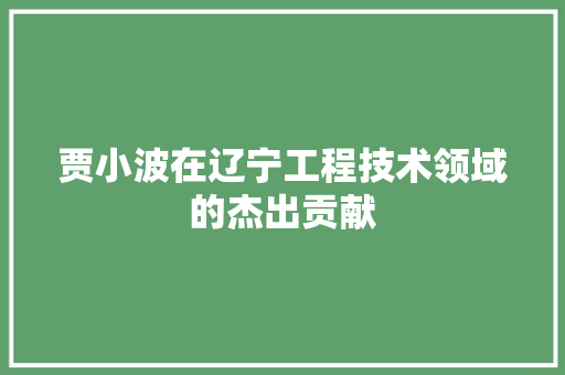 贾小波在辽宁工程技术领域的杰出贡献 室内设计