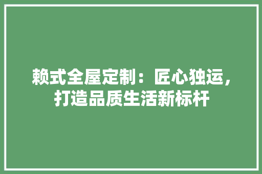 赖式全屋定制：匠心独运，打造品质生活新标杆 室内设计
