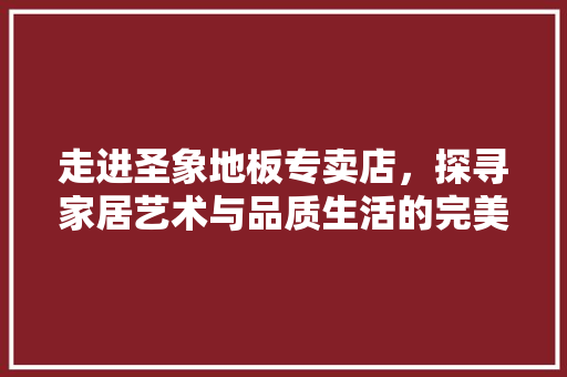 走进圣象地板专卖店，探寻家居艺术与品质生活的完美融合