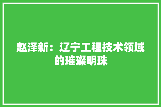 赵泽新：辽宁工程技术领域的璀璨明珠 室内设计