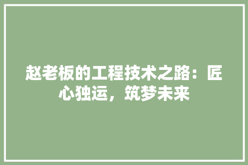 赵老板的工程技术之路：匠心独运，筑梦未来 室内设计