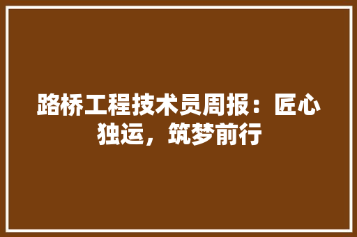 路桥工程技术员周报：匠心独运，筑梦前行 室内设计