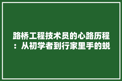 路桥工程技术员的心路历程：从初学者到行家里手的蜕变 室内设计