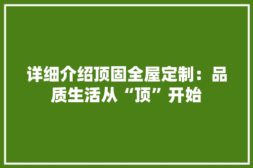 详细介绍顶固全屋定制：品质生活从“顶”开始 室内设计