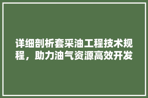 详细剖析套采油工程技术规程，助力油气资源高效开发 室内设计