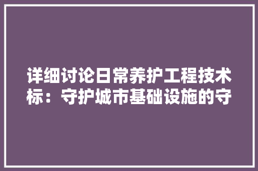 详细讨论日常养护工程技术标：守护城市基础设施的守护者