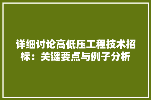 详细讨论高低压工程技术招标：关键要点与例子分析