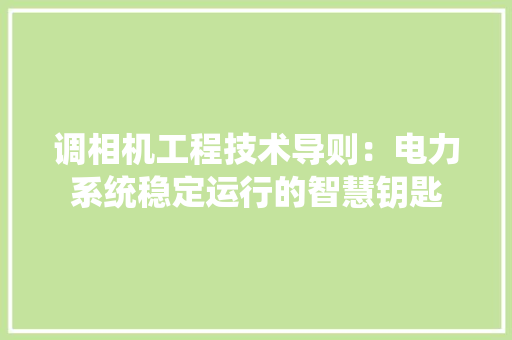 调相机工程技术导则：电力系统稳定运行的智慧钥匙 室内设计