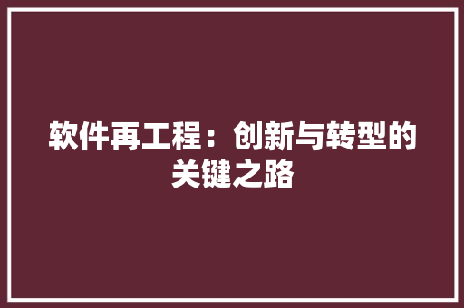 软件再工程：创新与转型的关键之路 室内设计