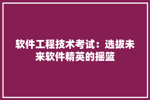 软件工程技术考试：选拔未来软件精英的摇篮