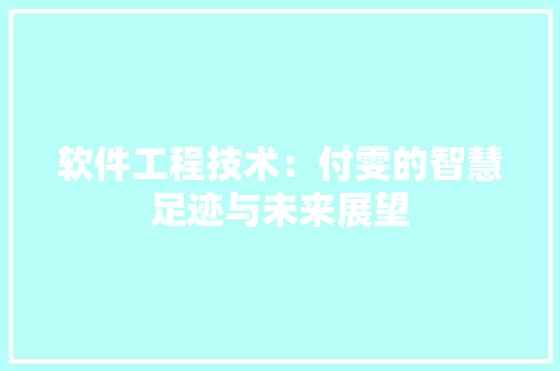 软件工程技术：付雯的智慧足迹与未来展望