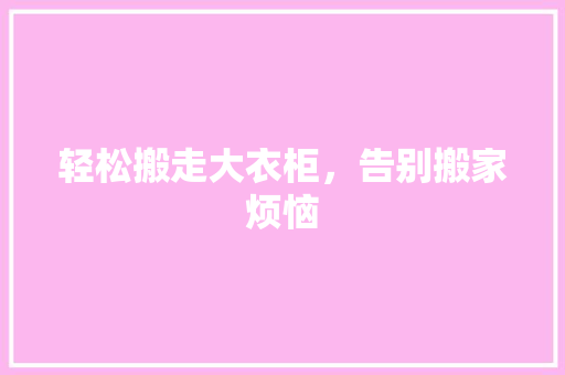 轻松搬走大衣柜，告别搬家烦恼 室内设计