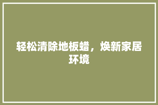 轻松清除地板蜡，焕新家居环境 室内设计