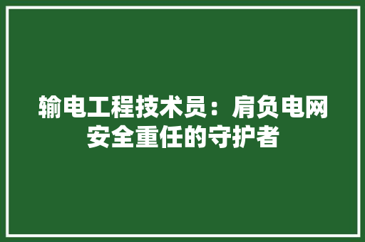 输电工程技术员：肩负电网安全重任的守护者