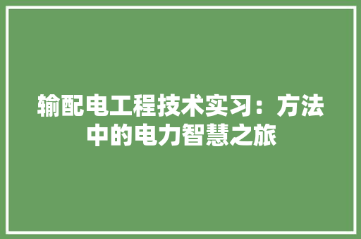 输配电工程技术实习：方法中的电力智慧之旅