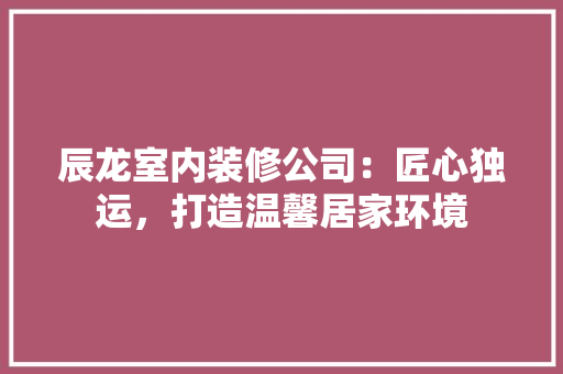 辰龙室内装修公司：匠心独运，打造温馨居家环境 室内设计