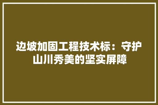 边坡加固工程技术标：守护山川秀美的坚实屏障 室内设计