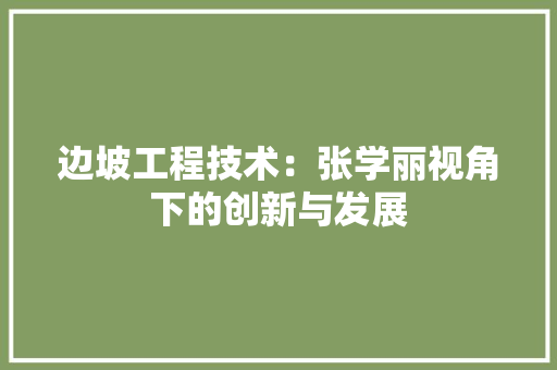 边坡工程技术：张学丽视角下的创新与发展