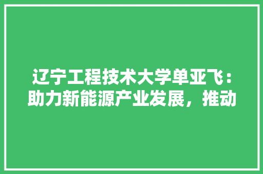 辽宁工程技术大学单亚飞：助力新能源产业发展，推动我国能源转型