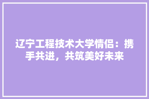 辽宁工程技术大学情侣：携手共进，共筑美好未来 室内设计