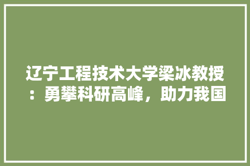 辽宁工程技术大学梁冰教授：勇攀科研高峰，助力我国能源转型 室内设计