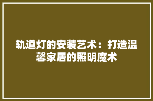 轨道灯的安装艺术：打造温馨家居的照明魔术 室内设计