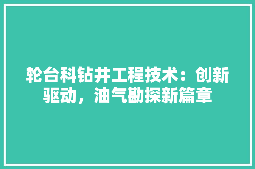 轮台科钻井工程技术：创新驱动，油气勘探新篇章 室内设计