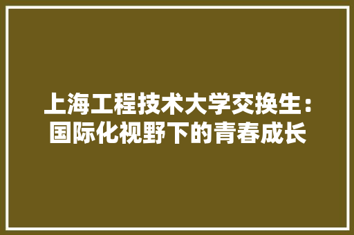 上海工程技术大学交换生：国际化视野下的青春成长 地板材料
