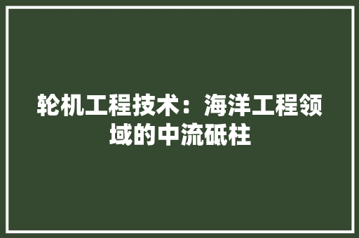 轮机工程技术：海洋工程领域的中流砥柱