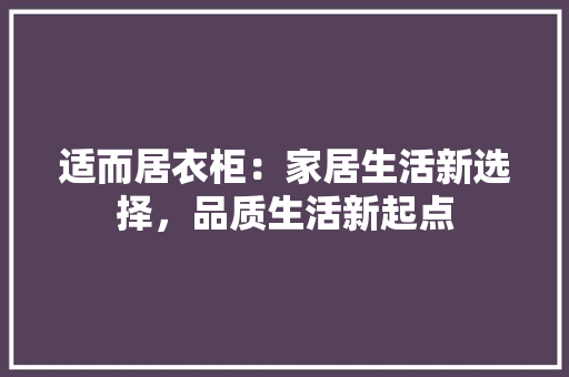 适而居衣柜：家居生活新选择，品质生活新起点 室内设计
