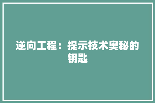逆向工程：提示技术奥秘的钥匙 室内设计