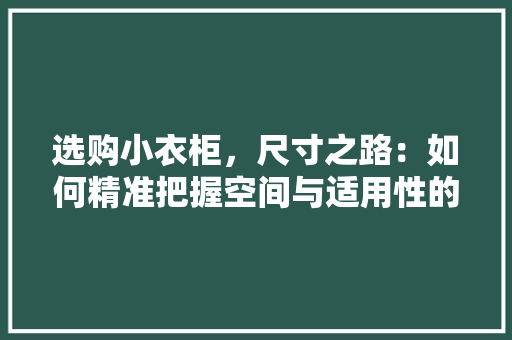 选购小衣柜，尺寸之路：如何精准把握空间与适用性的平衡 室内设计