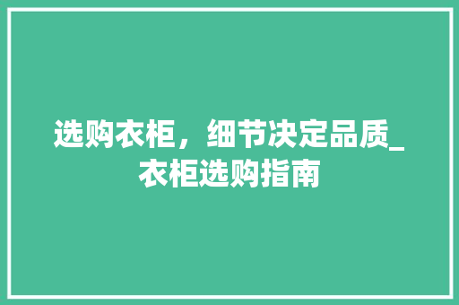 选购衣柜，细节决定品质_衣柜选购指南 室内设计