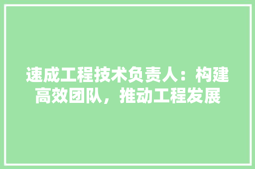 速成工程技术负责人：构建高效团队，推动工程发展 室内设计