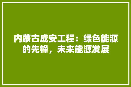 内蒙古成安工程：绿色能源的先锋，未来能源发展 家居装修