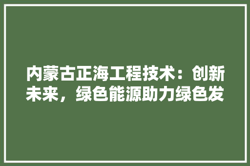 内蒙古正海工程技术：创新未来，绿色能源助力绿色发展 家居装修