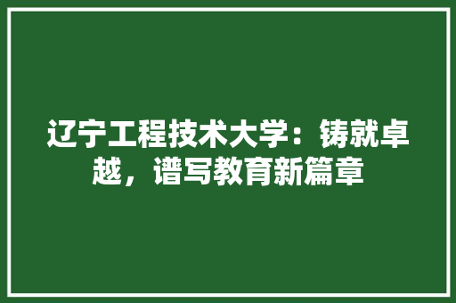 辽宁工程技术大学：铸就卓越，谱写教育新篇章 室内设计