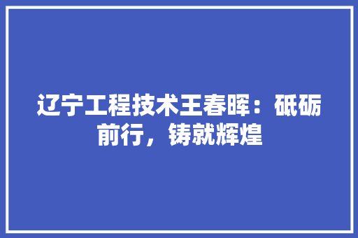 辽宁工程技术王春晖：砥砺前行，铸就辉煌 室内设计