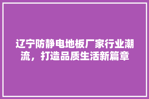 辽宁防静电地板厂家行业潮流，打造品质生活新篇章 室内设计