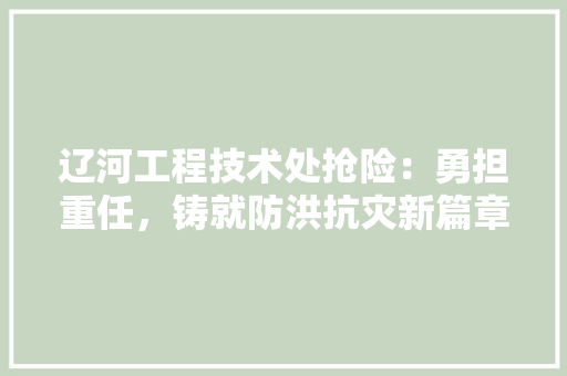 辽河工程技术处抢险：勇担重任，铸就防洪抗灾新篇章 室内设计