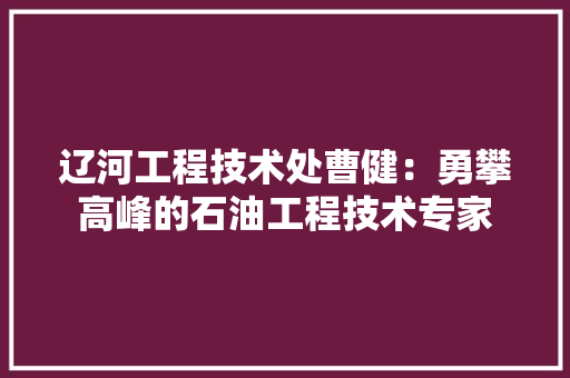 辽河工程技术处曹健：勇攀高峰的石油工程技术专家 室内设计