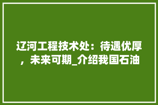 辽河工程技术处：待遇优厚，未来可期_介绍我国石油工程领域的领军企业