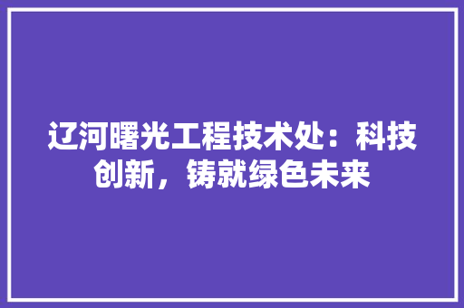 辽河曙光工程技术处：科技创新，铸就绿色未来